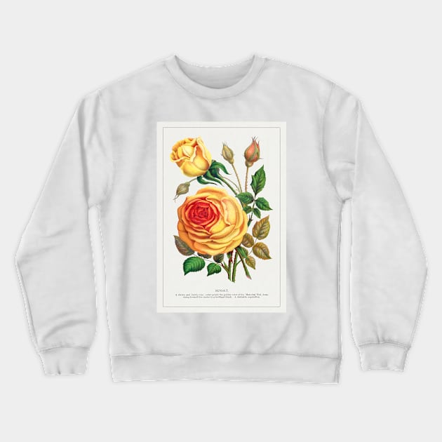 Sunset Rose Lithograph (1900) Crewneck Sweatshirt by WAITE-SMITH VINTAGE ART